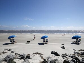 A beach with three blue umbrellas, beach chairs, and a dog walking on the sand.