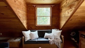 Televisión, chimenea, videojuegos y reproductor de DVD