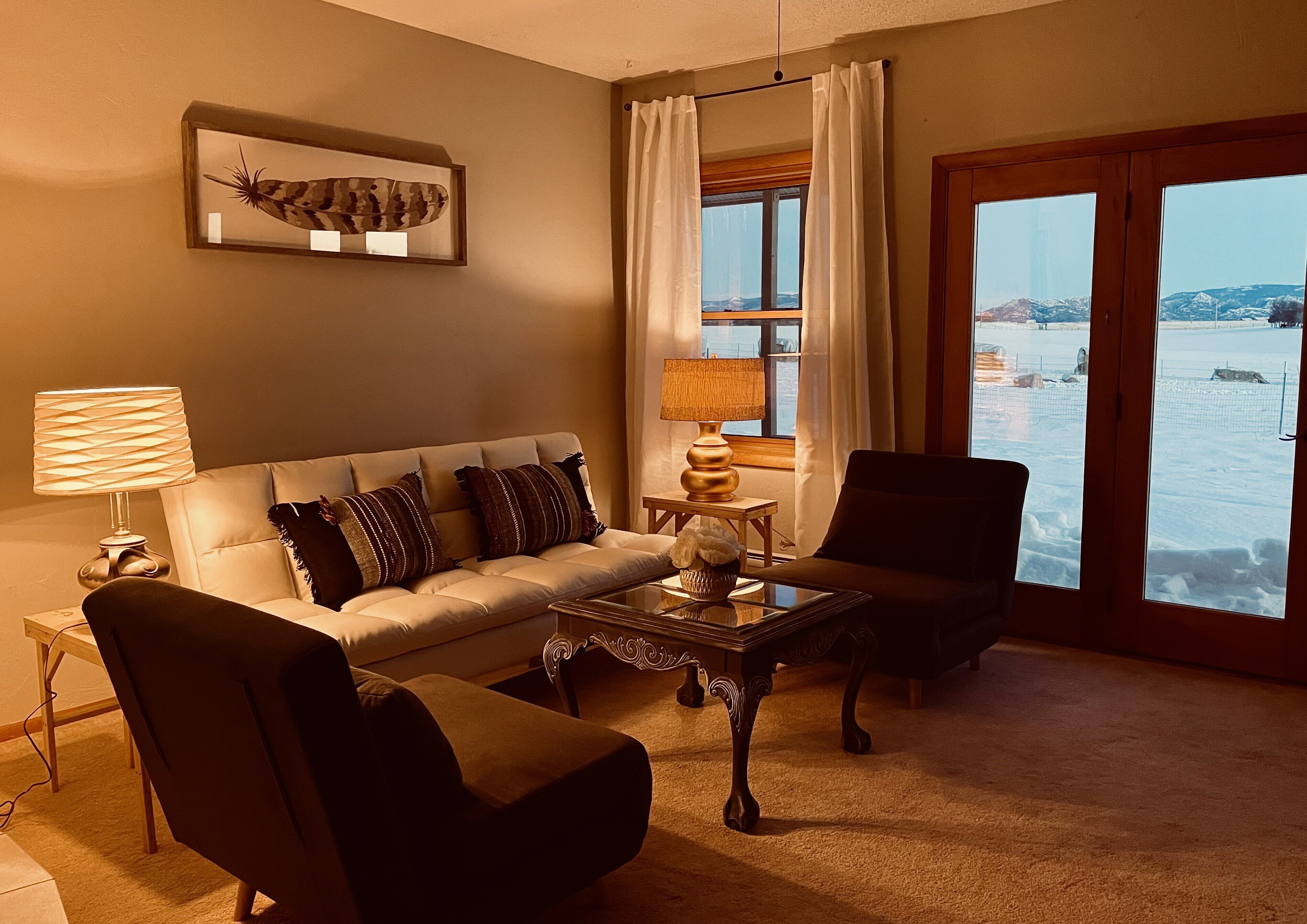 Smart TV, fireplace, DVD player, books