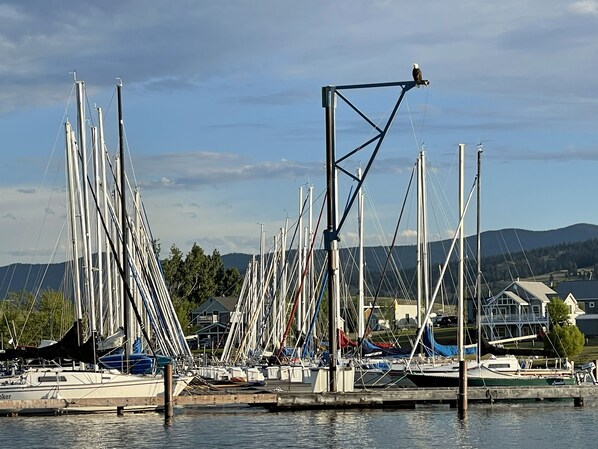Marina