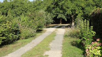 Terrein van de accommodatie