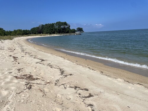 When you want to get away from everything Magnolia shores 2 acres of tranquility