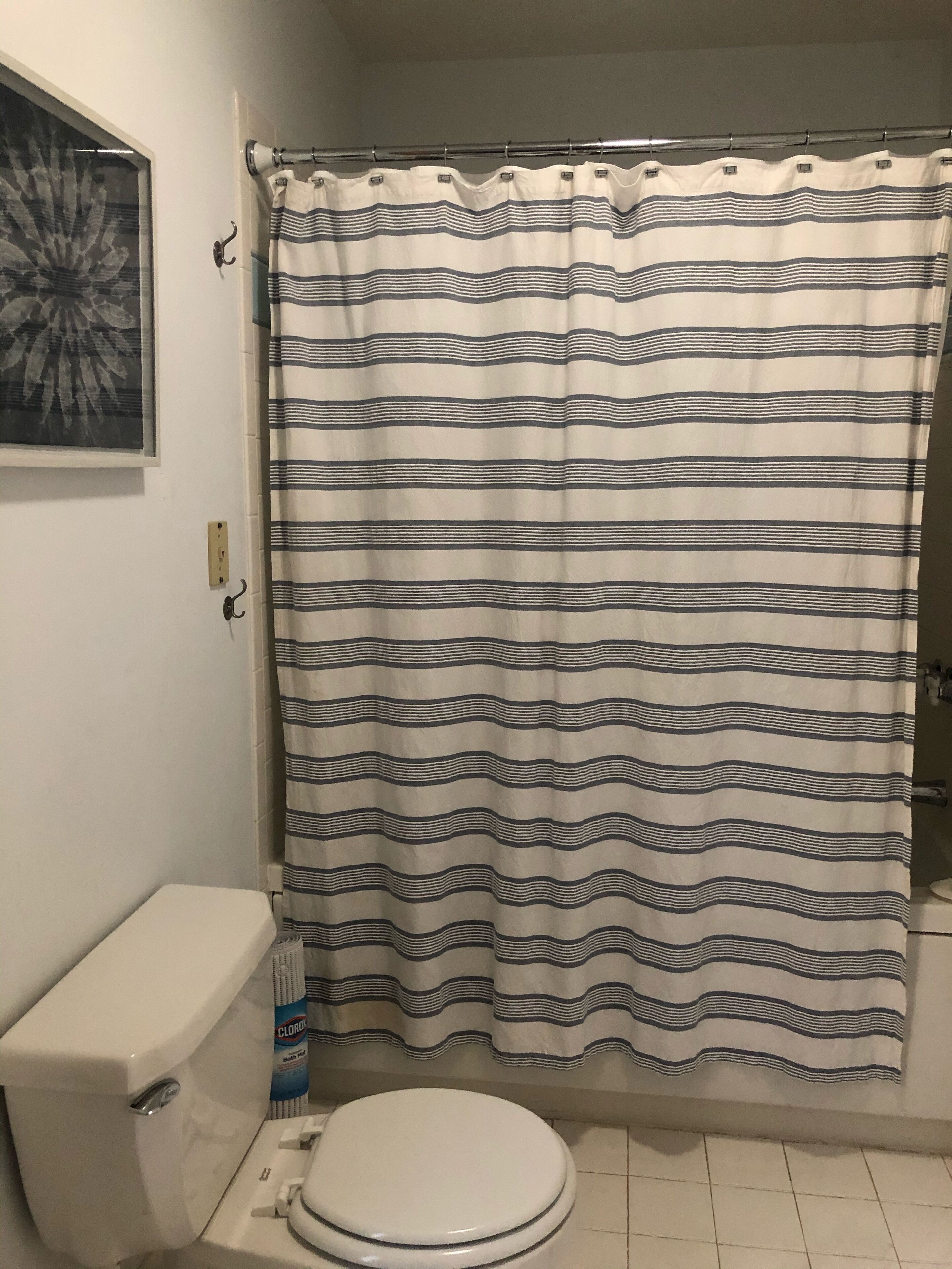 A bathroom with a striped shower curtain, a toilet, and a bottle of Clorox bleach.