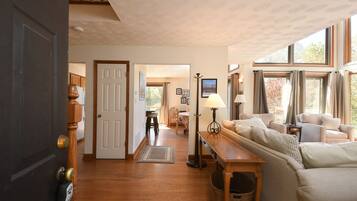 Télévision, cheminée, jeux vidéo, lecteur de DVD