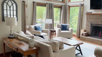 Télévision, cheminée, jeux vidéo, lecteur de DVD