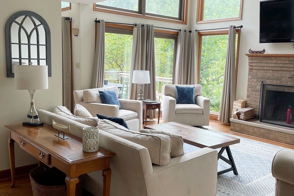 TV, fireplace, video games, DVD player