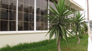 Chi tiết ngoại thất