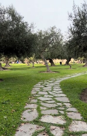 Enceinte de l’hébergement