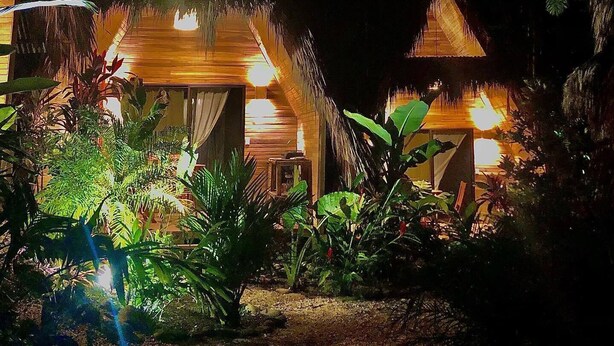 Un bungalow au toit de chaume, doté d’un intérieur bien éclairé et entouré d’une végétation tropicale luxuriante.