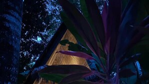 A wooden cabin with a thatched roof, surrounded by tropical plants. - Buena Onda - Bungalow Zuma few steps to the beach (Playa Hermosa)