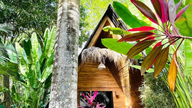 A wooden cabin with a thatched roof, surrounded by lush tropical vegetation. - Buena Onda - Bungalow Zuma few steps to the beach (Playa Hermosa)