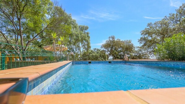 A swimming pool with a tiled edge, surrounded by trees and a green fence.