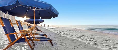 En strand med rader av blå solstolar och parasoller, en klar himmel och havet i bakgrunden.