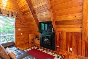Televisión, chimenea y libros