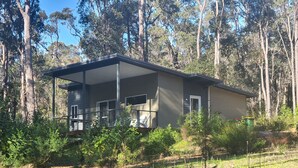 A modern two-story house with a covered porch and large windows, surrounded by dense forest. - A beautiful chalet in a secluded bush environment, only a short walk to town. (Denmark)