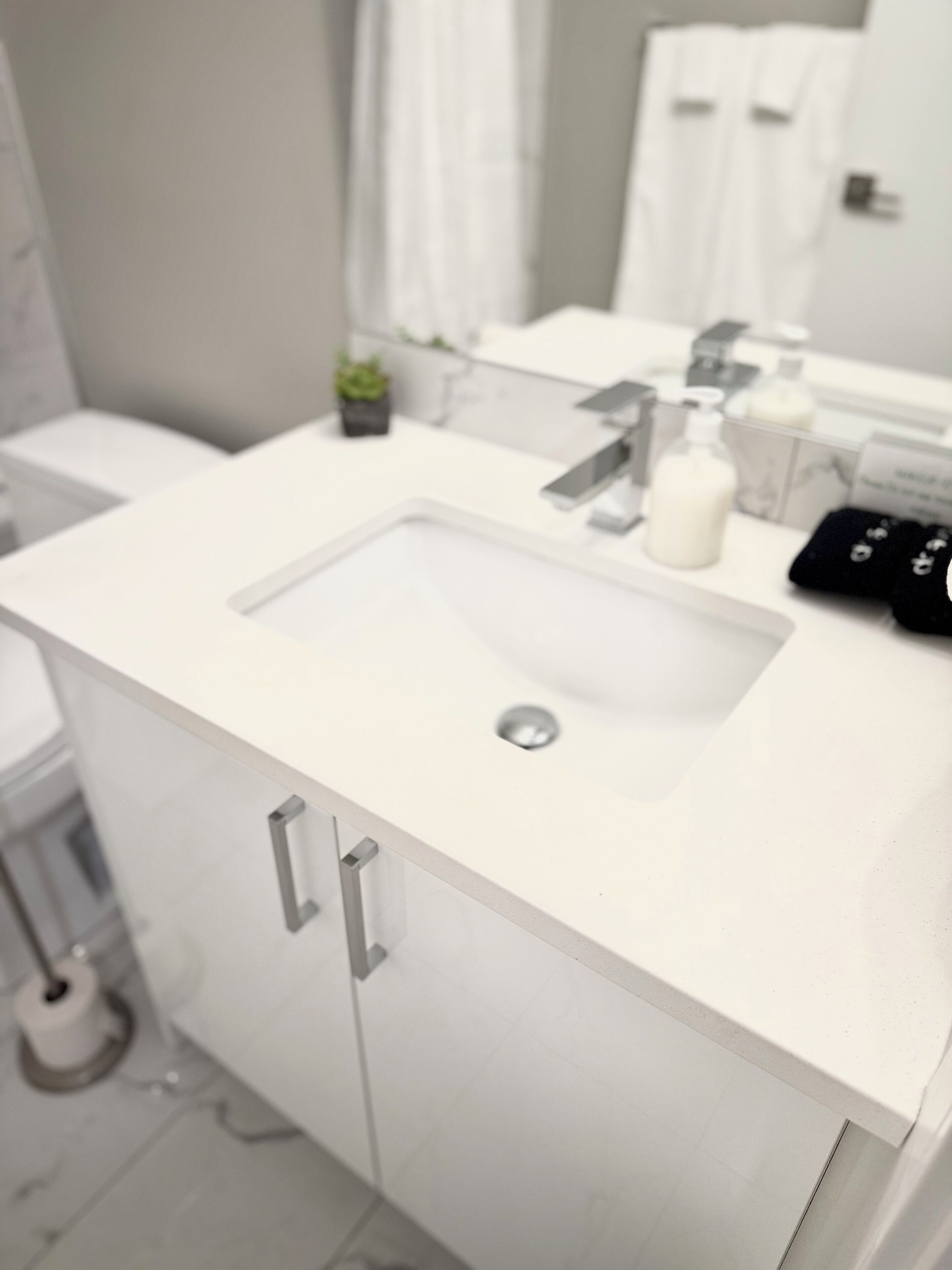 A modern bathroom with a white sink, a mirror, and a small potted plant on the countertop.