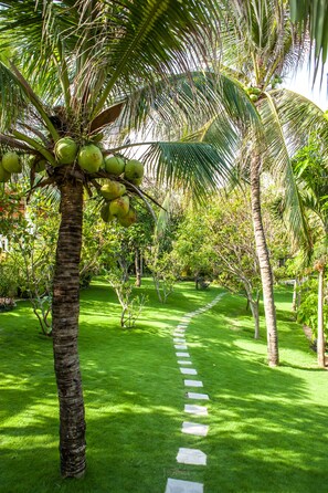 Property grounds - ALLEZBOO HOMESTAY-FRENCH COLONIAL-STYLE RESORT (Thành phố Phan Thiết)