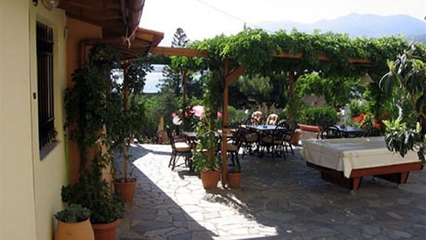Un patio al aire libre con suelo de piedra, mobiliario de madera y plantas en macetas.