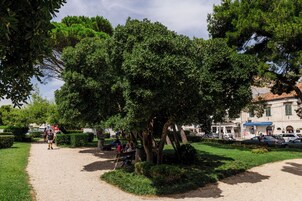 Um parque com um caminho de cascalho, árvores e um banco.