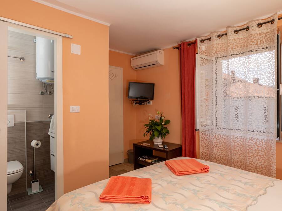 A hotel room with a bed, a TV, a plant, and a shower area.