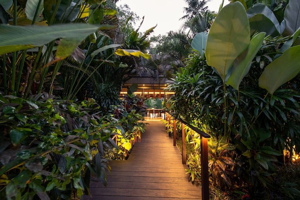 Garden