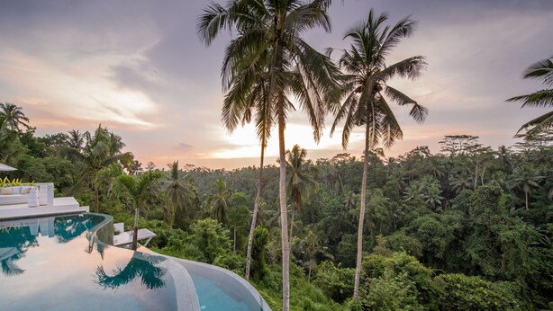 Ein gewundener Infinity-Pool mit Blick auf einen dichten tropischen Regenwald und Palmen.