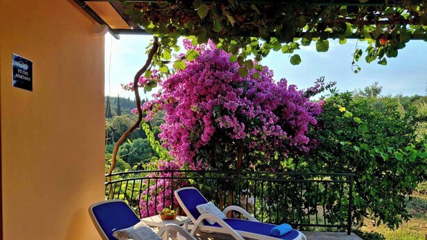 Un balcón con dos tumbonas, una pérgola cubierta de hiedra con flores, y un letrero que dice 'STUDIO APARTMAN'.