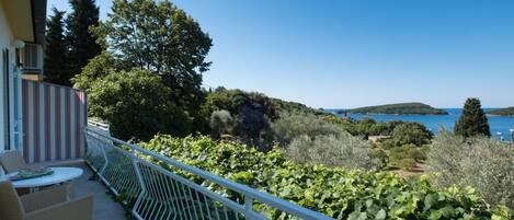 Apartment (1Bedroom Apt,Balcony,Sea View) | View from room