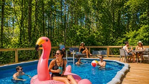 A swimming pool with inflatable flamingo floats, lounge chairs, and a deck area. - 9BR Riverfront Estate | Pool, Theater, Game Room, on Shenandoah River (Shenandoah)