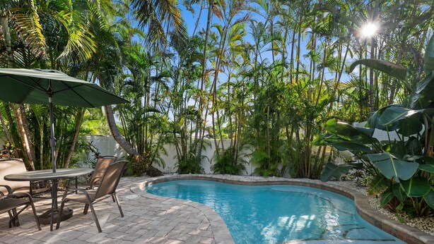 Uma piscina com deck ladrilhado, rodeada por vegetação exuberante e altas palmeiras.