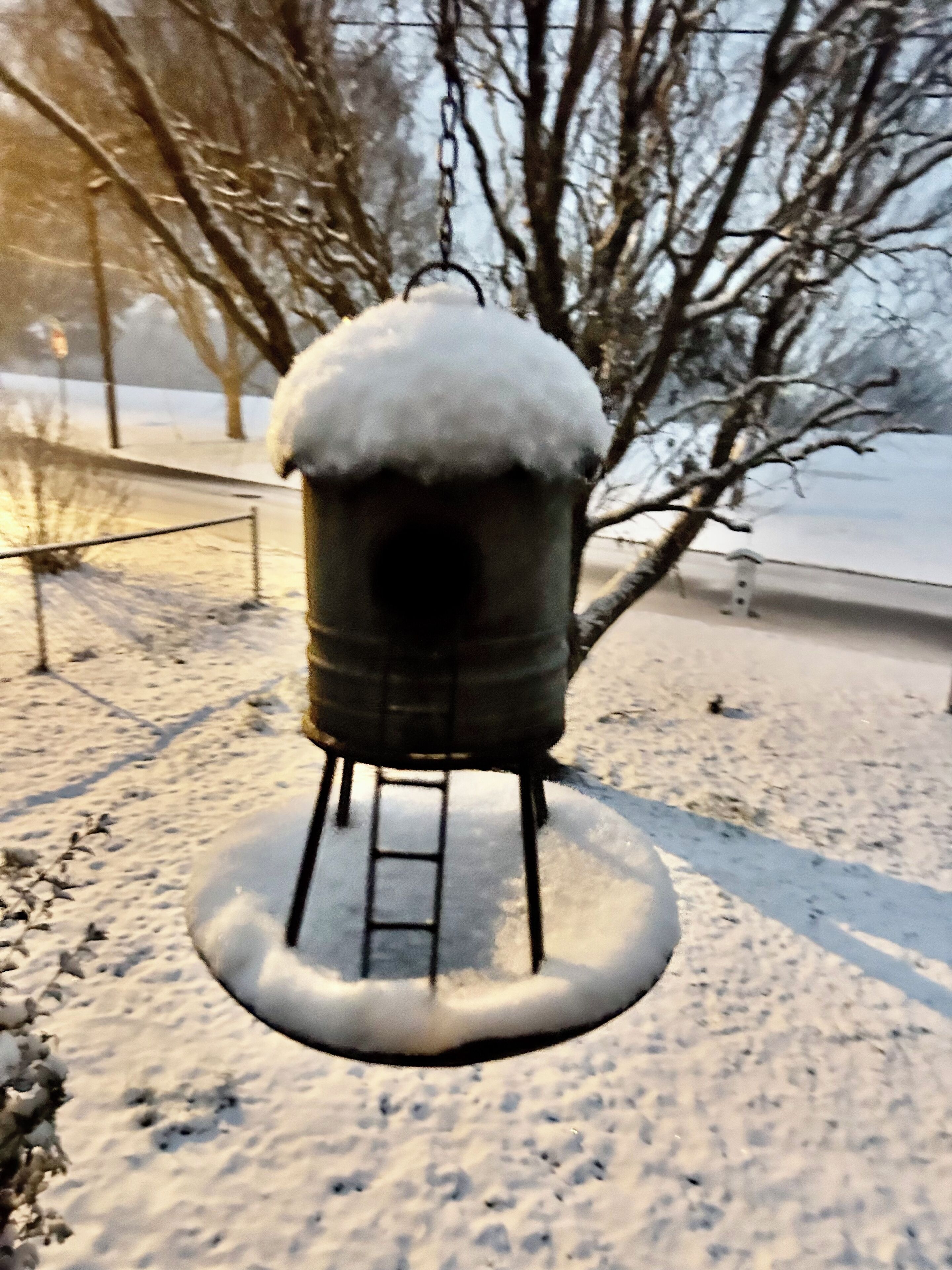 Estrutura ao ar livre coberta de neve, com uma escada que leva até ela, cercada por árvores sem folhas e chão coberto de neve.