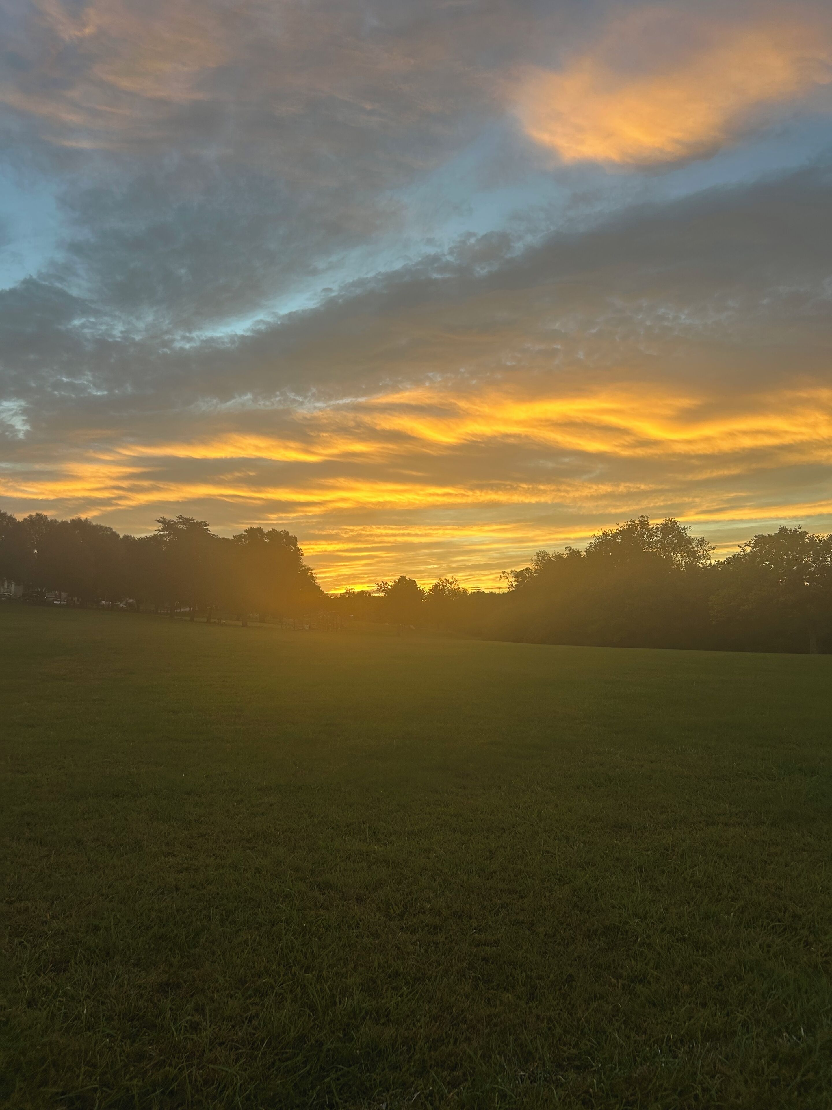 A wide-open grassy field with a sunset in the background.