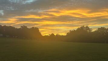A wide-open grassy field with a sunset in the background.