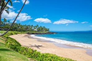 Beach nearby - New Listing: Open layout with stunning views (Kihei)