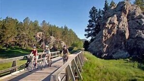A wooden bridge with cyclists.