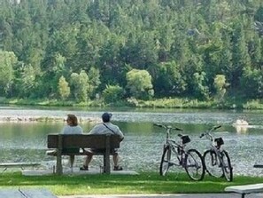 Property grounds - Studio Deluxe Cabin Thirty Minutes to Mt Rushmore - In Rapid City On Canyon Lake Thirty Minutes from Mt Rushmore (Rapid City)