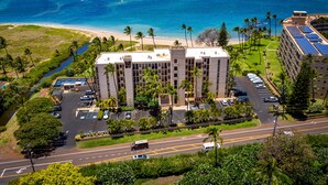 A hotel with a parking lot, a road, and a beach with palm trees.