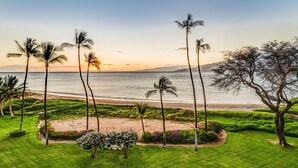 A well-maintained garden with palm trees and a bench, overlooking a beach and ocean at sunset.