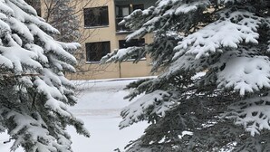 A multi-story building with balconies and windows, surrounded by snow-covered trees. - SLOPES VIEW, SKI IN AND OUT AT SILVER CREEK, SLEEPS 4. (Snowshoe)
