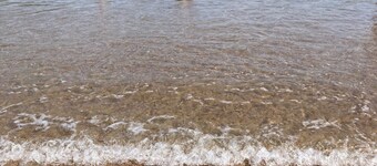 Nestled between Bar Harbor and Acadia, a bright and spacious house in the woods