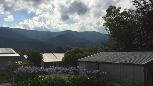 A rural landscape with a house, a field of purple flowers, and mountains in the background. - Perfect as a Falls Creek base camp. Pet friendly.  (Mount Beauty)