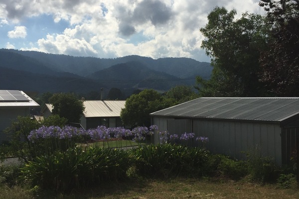 Side of house, old veggie patch.