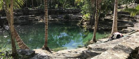 Overnattingsstedets uteområder