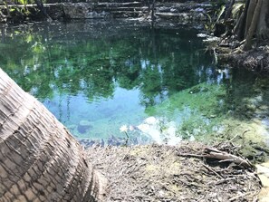 Pool - BAYOU TULUM, Enjoy Nature in Style  (TULUM)
