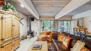 TV, fireplace, DVD player, books