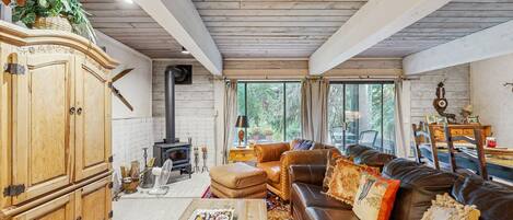 TV, fireplace, DVD player, books