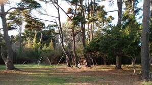 Ein Park mit einer Schaukel, Bäumen und einer Rasenfläche.