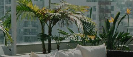 المنطقة المحيطة بالمنشأة