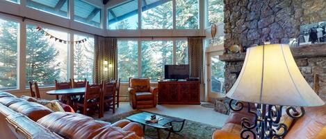 TV, fireplace, DVD player, books