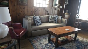 TV, fireplace, books